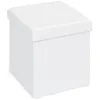 Image de Boîte de rangement pliable simili cuir blanc Santy