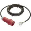 Image de As - Schwabe Câble de raccordement CEE (3 m), Câble d'alimentation, Noir