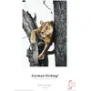 Image de Hahnemühle German Etching A3+ 25 feuilles (310 g/m², A3+, 25 pcs), Papier photo, Blanc