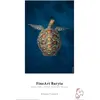 Image de Hahnemühle FineArt Baryta Highgloss (325 g/m², A4, 25 pcs), Papier photo, Blanc