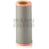 Image de MANN FILTER Filtre a air C13109