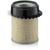 Image de Filtre À Air Mann-filter C21317