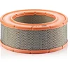 Image de Filtre À Air Mann-filter C31220