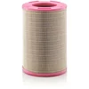 Image de Filtre À Air Mann-filter C301240