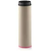 Image de Filtre À Air Mann-filter Cf1840