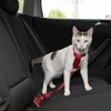 Image de Trixie Harnais de sécurité pour voiture rouge - pour chat