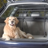 Image de Grille de protection Trixie pour voiture L85 140xH75 110cm pour chien