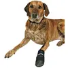 Image de Bottes De Protection Walker Care, 2 Pcs - Mon Animalerie