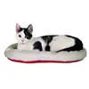 Image de Lit Douillet Chat Réversible, 47 × 38 Cm, Blanc/Rouge - 28630 - Mon Animalerie