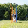 Image de TRIXIE Piquets de slalom pour parcours d'agilité 115 cm 12 pcs Plastique