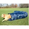 Image de Dog Activity Basic Tunnel Agility, Ø 60 Cm/5 M, Bleu - 3211 - Mon Animalerie