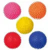 Image de Trixie Balle hérisson D=7cm avec couineur, Jouets pour chien