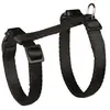 Image de Harnais Chat Avec Laisse, Nylon, 26 43 Cm/10 Mm, 1,20 M - 4188 - Mon Animalerie