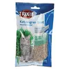 Image de Herbe à chat orges 100 g