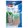 Image de 3 sachets d'herbe à chat (3x100g)
