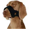 Image de 2x Trixie Boucle de bouche (XL, Chien, Jogging, Promenade, Sport canin), Collier + laisse