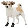 Image de Bottes de protection Walker Active. Taille: XS. pour chien. - Trixie - TR-19460