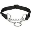 Image de Trixie Collier d'arrêt de traction Premium (L, XL, Chien), Collier + laisse