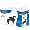 Image de Trixie Couches pour chiennes XL 12pcs (Chien), Hygiène animale