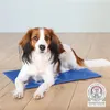 Image de Matelas rafraîchissant. taille M. 50 x 40 cm. pour chien. - Trixie - TR-28685