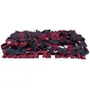 Image de Trixie Activité tapis renifleur (Jouet d’occupation pour chiens), Jouets pour chien