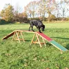 Image de Dog Activity Agility Dogwalk, 456 × 64 × 30 Cm - Mon Animalerie