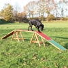Image de Rampe Trixie Dog Activity Agility L 456 x l 30 x H 64 cm - pour chien