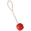 Image de Jeu aquatique Balle sur corde, Dimensions: ø 7 x 35 cm, couleur aléatoire, pour votre chien. - Trixie - TR-33482