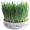 Image de 1 gamelle en céramique Trixie pour chat + 50g de graines d'herbe à chat
