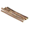 Image de TRIXIE Sticks a macher Matatabi - 10g - Pour chat