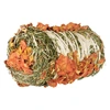 Image de 200g Trixie balle de foin avec potiron et carotte Friandise pour petits animaux