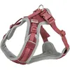 Image de Trixie Premium FlexMesh harness, wide fit,XS S:40 57cm/15mm,sangria (S, XS, Chien, Sport canin), Collier + laisse