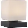 Image de Paul Neuhaus, Lampe de table, Dadoa (580 lm)