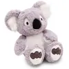Image de NICI 61712 Kuscheltier Koala Barry 25cm schlenkernd GREEN (25 cm)