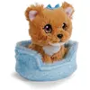 Image de NICI GREEN Kuscheltier little Paws Hund Yorkshire braun 12cm im blauem Körbchen (12 cm)