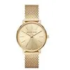 Image de Montre Pyper de Michael Kors à trois aiguilles en acier inoxydable doré pour femme