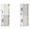 Image de PAGNA Intercalaires en carton, A4, 12 touches, 12 couleurs