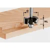 Image de Fraise à feuillurer à plaquettes réversibles HW, queue de 8 mm FESTOOL HW S8 D38/12 - 491085