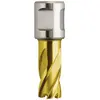 Image de Fein, Scie-cloche, Carottier 22 mm HSS-Dura 25 6 (22 mm)