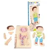 Image de beleduc layerpuzzle boy 29 pièces