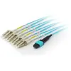 Image de equip MTP/LC Trunk Fiber Patch Cord OM4 M/M (5 m), Câble réseau