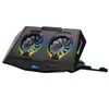 Image de Conceptronic Base De Refroidissement Pour Jeux D'ordinateur Portable Thyia02b 17'' Rgb