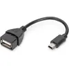 Image de Digitus Câble adaptateur (0.20 m, USB 2.0, 2.50 W), Câble USB