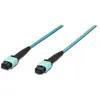 Image de Digitus Câble de raccordement MPO, OM3, 30m (30 m), Câble réseau