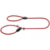 Image de Hunter Laisse pour retriever Freestyle (Chien, Général), Collier + laisse