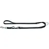 Image de Hunter Laisse pour chien (Taille unique, Chien, Général), Collier + laisse