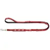 Image de Hunter Suisse (Chien, Promenade), Collier + laisse