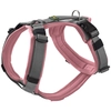 Image de HUNTER Harnais Maldon vieux rose/gris taille M/L : 60 - 91 cm de tour de poitrine, B 25 mm chien