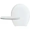 Image de Abbatant Blanc à Charnière Inox Pour Wc