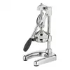Image de Presse-agrume Pro Amalfi chrome - Cilio - Argent - Inox